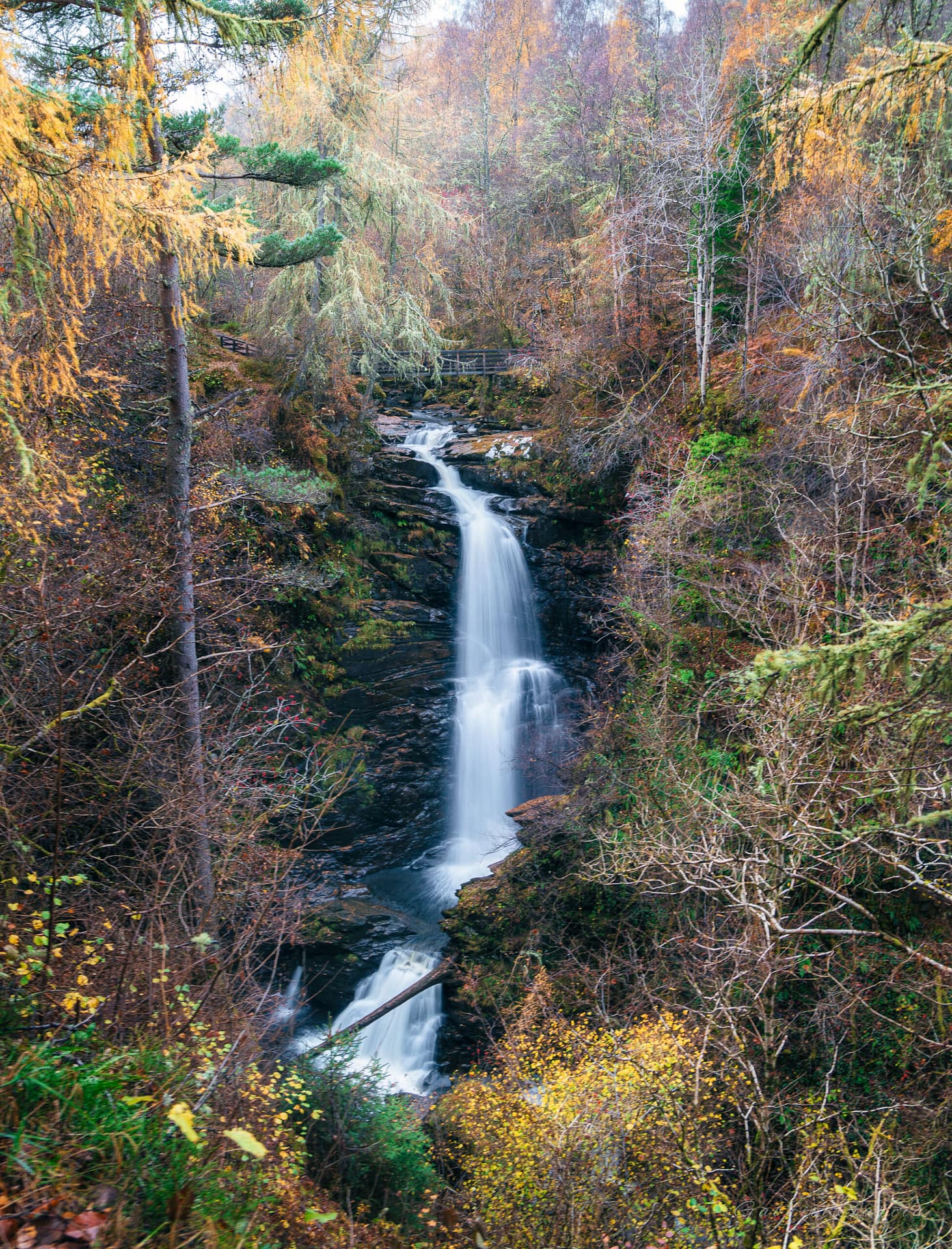 Birks of Aberfeldy